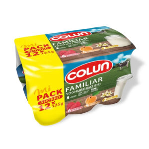 Pack yoghurt surtido 12 un de 125 g